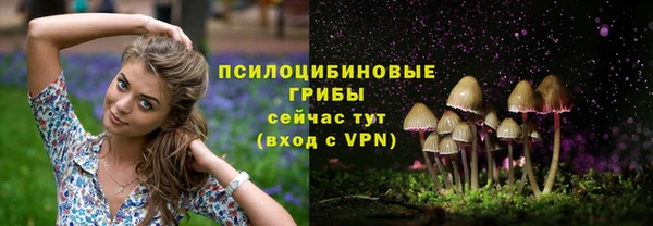 прущий лед Балахна